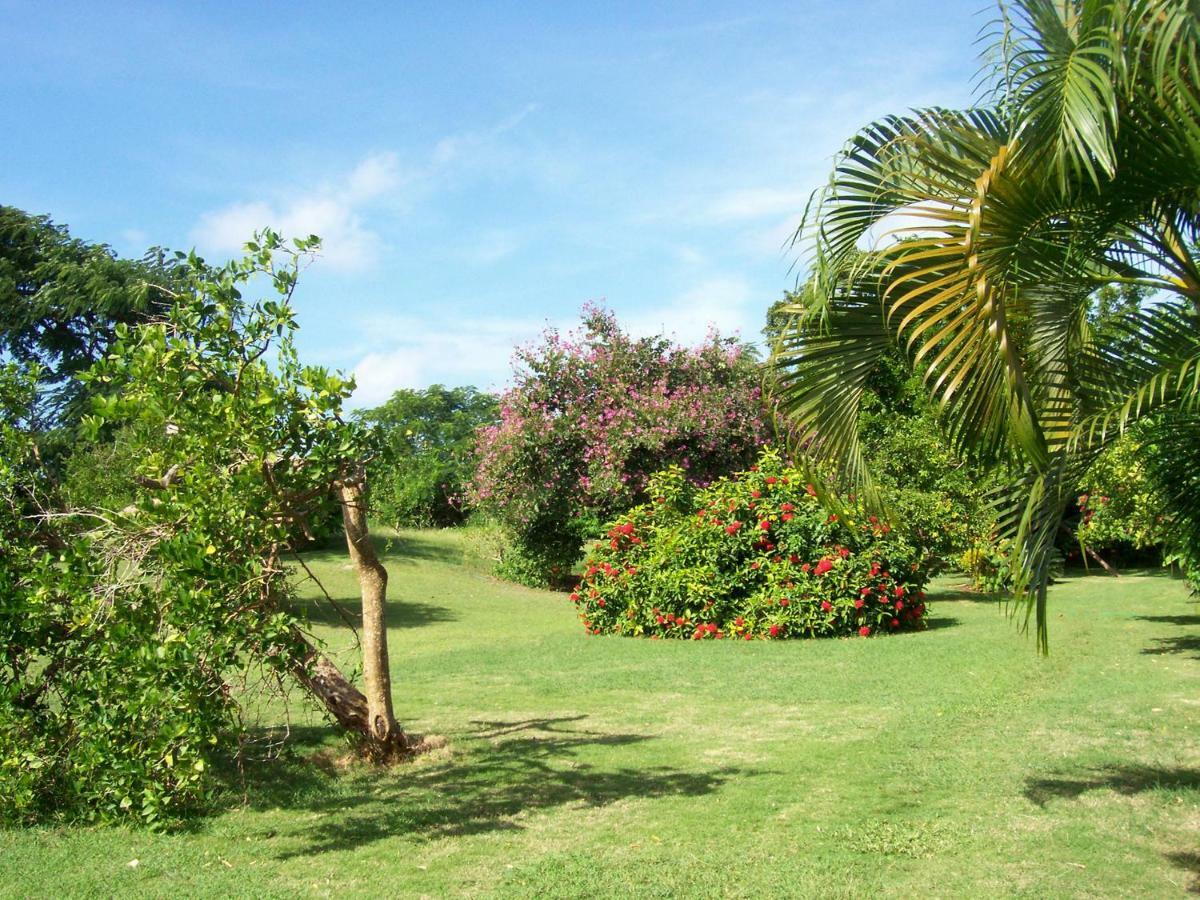 Ocean View Montego Bay Apartment Εξωτερικό φωτογραφία